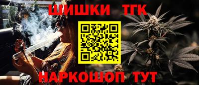 дмт Гай