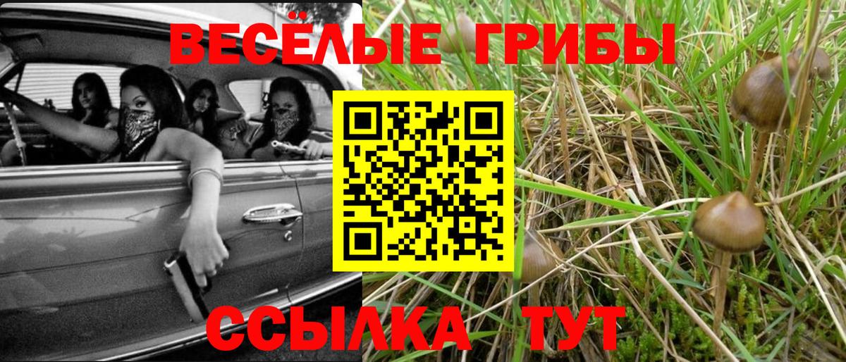 Галлюциногенные грибы ЛСД Междуреченск